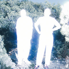 DEEWEE091 SOULWAX 'ALL SYSTEMS ARE LYING / RUN FREE (NITE VERSIONS)'